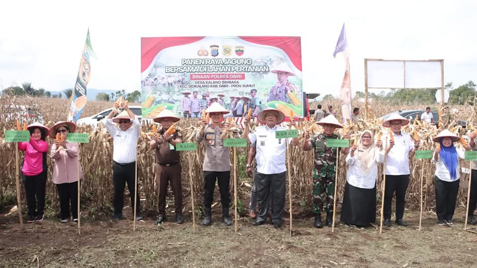 Bupati Dairi Pastikan Panen Jagung Selanjutnya Dibeli Perumda
