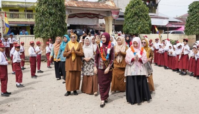 Bunda Literasi Padanglawas: Jadikan Membaca ‘Superpower’ Di Sekolah
