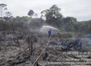 Tiga Titik Kebakaran Lahan Di Humbahas Berhasil Dipadamkan