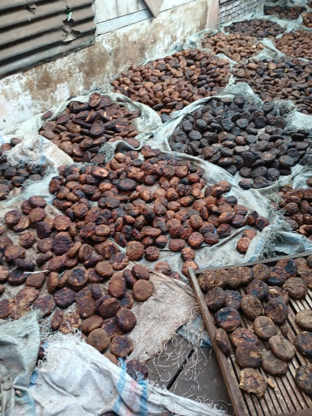 Tim Unand Kaji Kelayakan Bisnis Gambir Di Pakpak Bharat