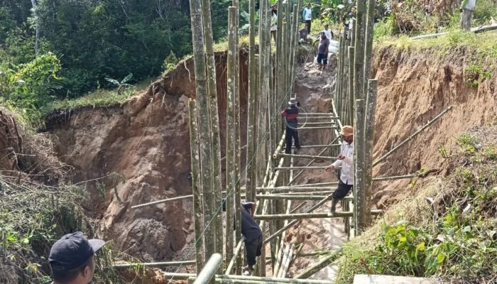 Masyarakat Desa Berampu Gotong Royong Perbaiki Irigasi Rusak