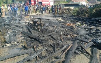 Sepekan Di Humbahas, Terjadi Banyak Kebakaran Lahan Dan Rumah