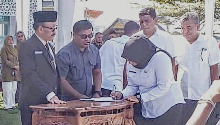 Hadiah H Sarjani di Penghujung Tahun