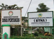 Dinas Pertanian Sergai Akui Simpan Buku Rekening Gakpotan