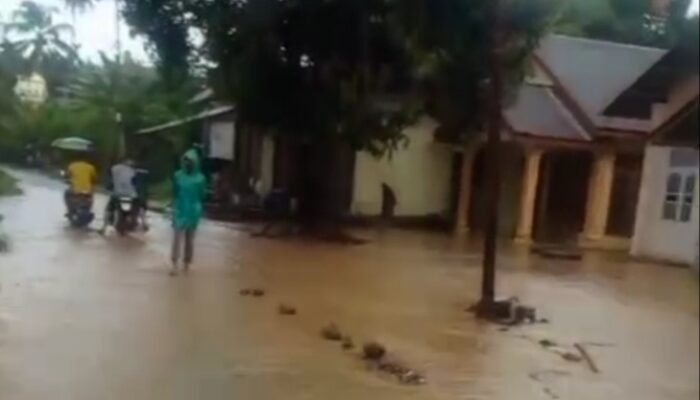 Luapan Sungai Peulumat Resahkan Warga Aceh Selatan 