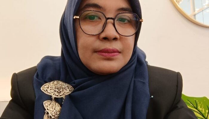 Tantangan Dan Implementasi Sistem Perizinan Usaha Berbasis Risiko Subsektor Kesehatan, Khususnya Rumah Sakit