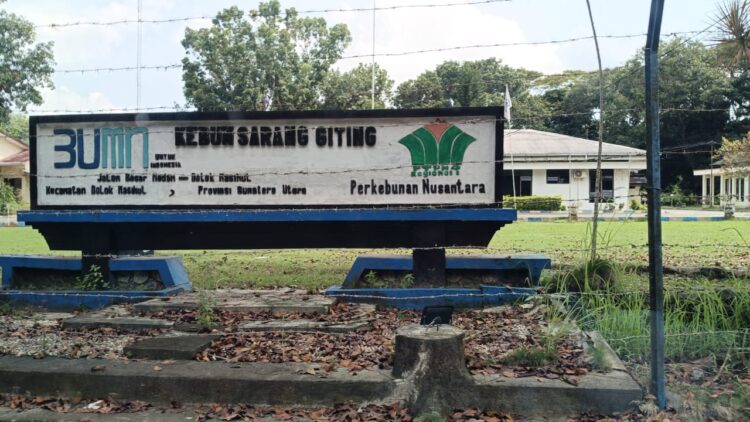 Polsek Dolok Masihul Periksa 8 Satpam PTPN IV Terkait Tewasnya Terduga Pencuri TBS