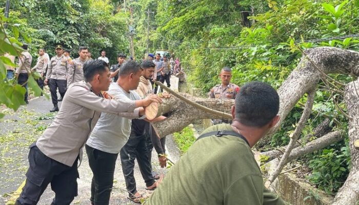 Polisi Singkirkan Pohon Tumbang Ke Badan Jalan Menuju Objek Wisata Iboih