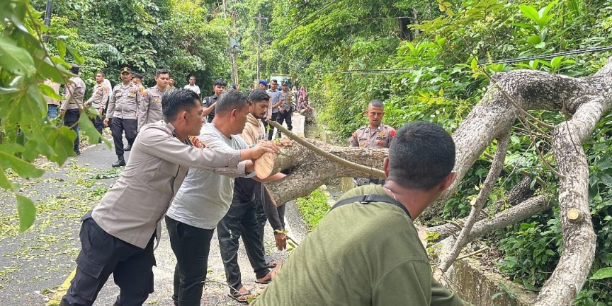 Polisi Singkirkan Pohon Tumbang Ke Badan Jalan Menuju Objek Wisata Iboih