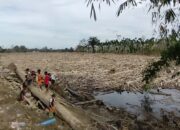 Bareskrim Mulai Selidiki Temuan Kayu Gelondongan di Aceh