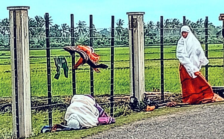 Sujud Di Persawahan Pidie