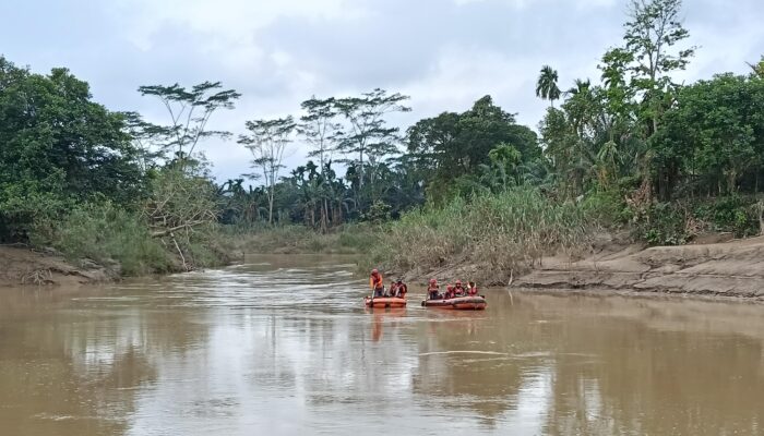 Di Aceh Timur, Petani Sawit Hilang Diterkam Buaya Saat Menyeberang Sungai