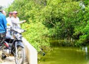 1.794 Hektare Tambak Di Pidie Rusak Pascabanjir, Kerugian Ratusan Miliar Rupiah