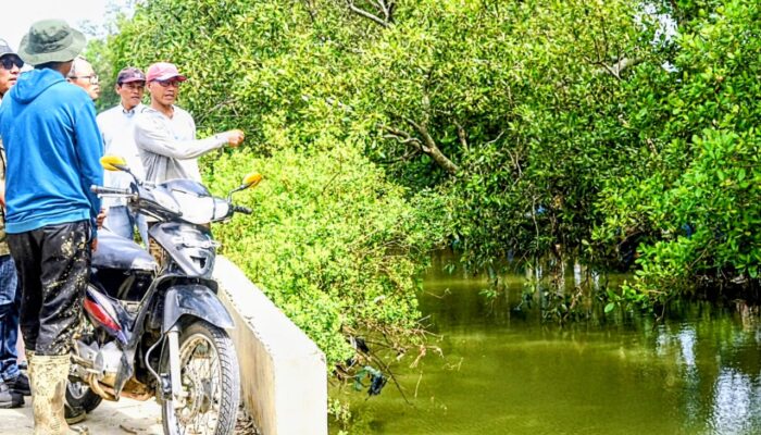 1.794 Hektare Tambak Di Pidie Rusak Pascabanjir, Kerugian Ratusan Miliar Rupiah