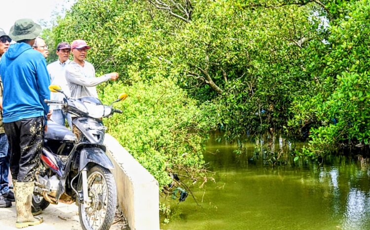 1.794 Hektare Tambak Di Pidie Rusak Pascabanjir, Kerugian Ratusan Miliar Rupiah