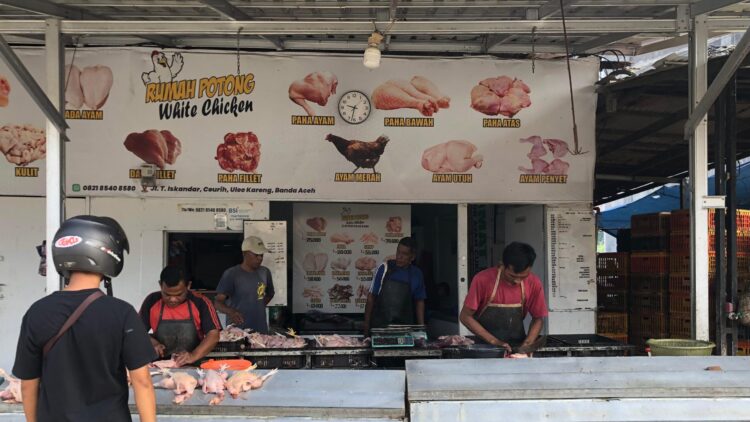 Bencana Alam Tekan Rantai Pasok Ayam Potong Di Sumatra