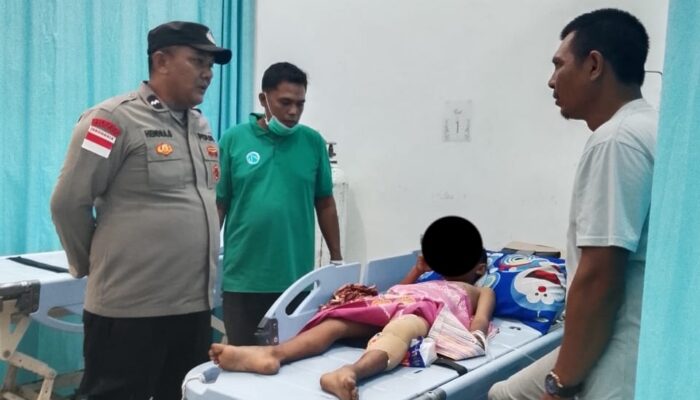 Bocah 11 Tahun Di Nagan Raya Diserang Ular Phyton Saat Mancing