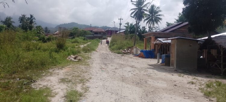 Jalan Nasional-Desa Tanjung Mompang Belum Diaspal Lebih 20 Tahun