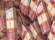 Paket Ketahanan Pangan Dana Desa TA 2025 di Desa Tanjung Mompang Diduga Fiktif