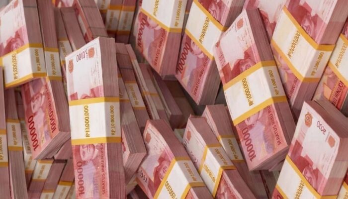 Paket Ketahanan Pangan Dana Desa TA 2025 di Desa Tanjung Mompang Diduga Fiktif