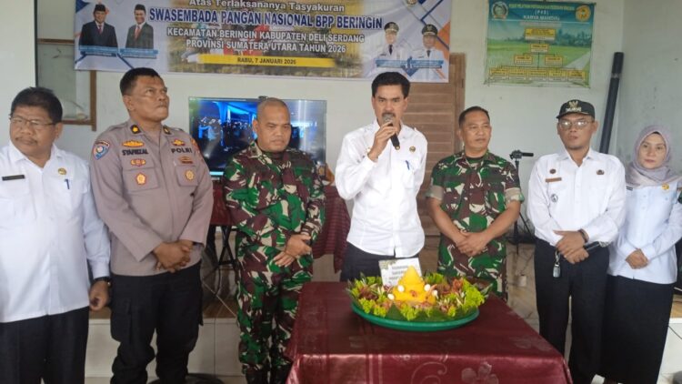 PSN Bidang Pertanian Menjaga Swasembada Pangan