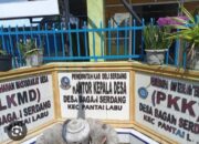 Realisasi PBB Desa Bagan Serdang Tahun 2025 Over Target