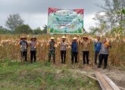Polresta Deliserdang Ikuti Panen Raya Jagung Serentak Kuartal 4 Tahun 2025 Secara Zoom