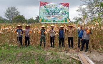 Polresta Deliserdang Ikuti Panen Raya Jagung Serentak Kuartal 4 Tahun 2025 Secara Zoom