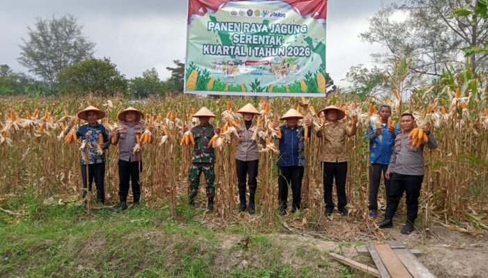 Polresta Deliserdang Ikuti Panen Raya Jagung Serentak Kuartal 4 Tahun 2025 Secara Zoom