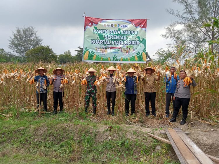 Polresta Deliserdang Ikuti Panen Raya Jagung Serentak Kuartal 4 Tahun 2025 Secara Zoom