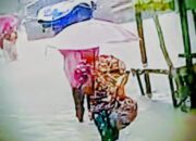 Banjir Pidie Rendam Permukiman