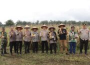 Perkuat Ketahanan Pangan, Pemko Binjai Ikuti Panen Raya Jagung Serentak Nasional