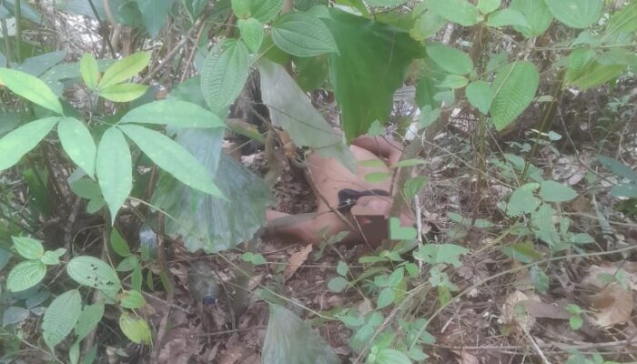 Bertahun Baru Ke Sidimpuan, Warga Tapsel Ditemukan Tewas Di Semak-semak
