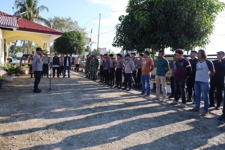 Seribu Batang Ganja di Pegunungan Aceh Besar Dimusnahkan, 1 Tersangka Ditahan