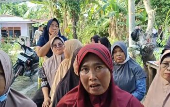 Berbulan Tanpa Kejelasan, Warga Desak Polres Sergai Ungkap Kematian Misterius Kerangka Dalam Pohon Aren