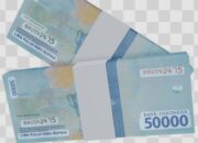 Paket Ketahanan Pangan DD TA 2025 di Kec Panyabungan Utara Diduga Fiktif, LSM Minta Pemeriksaan Khusus