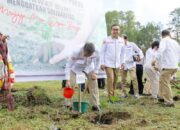Utusan Presiden RI, Hashim Djojohadikusumo Tanam Pohon Di Jaitun Silangit