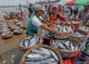 Perlindungan Hukum Dan Keselamatan Kerja Nelayan Masih Minim