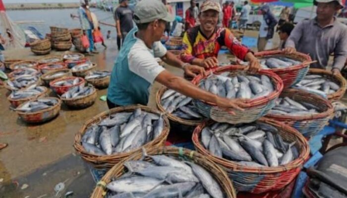 Perlindungan Hukum Dan Keselamatan Kerja Nelayan Masih Minim
