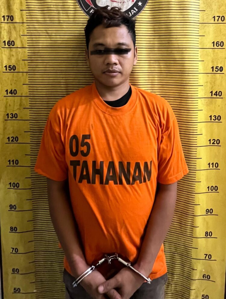 Kelabui Petugas, Pria Diduga Pengedar Narkoba Digelandang ke Polres Binjai