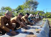 Wabup Singkil Tanam Perdana Cabai Di Lahan Pertanian Usai Terendam Banjir