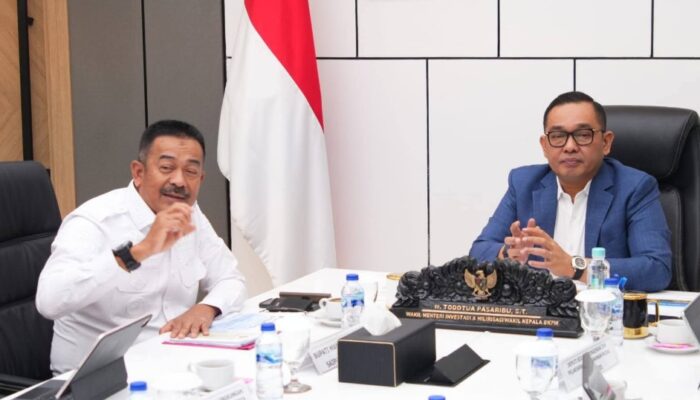 Wamen Investasi Dan Hilirisasi Sambut Baik Potensi Peningkatan Ekonomi Di Madina