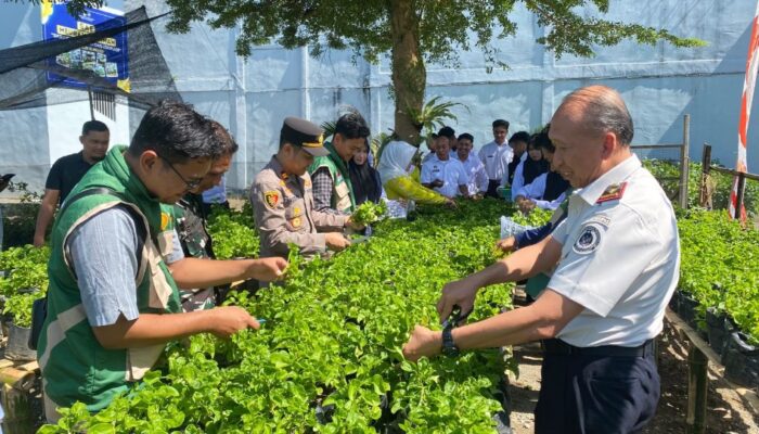 Lapas Meulaboh Ikuti Panen Raya Serentak Kemenimipas