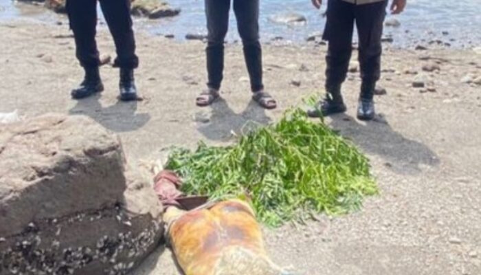 Mayat Mr X Ditemukan Di Pantai Ulee Krueng Sabang
