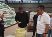 Bulog Siap Serap Gabah Dan Jagung Hasil Panen Petani