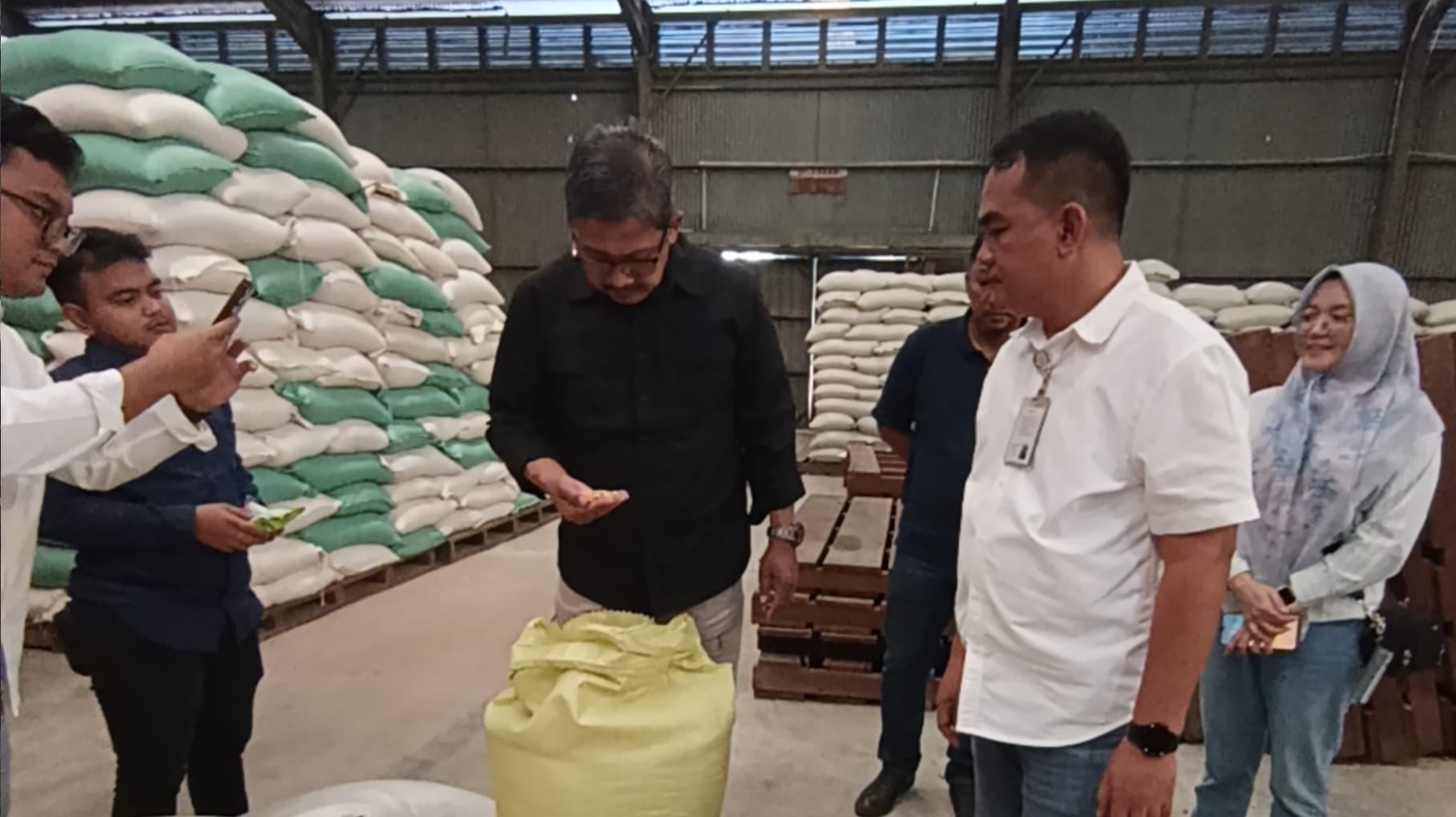 Bulog Siap Serap Gabah Dan Jagung Hasil Panen Petani