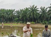 Kehadiran Mentan Di Aceh Diharapkan Bisa Berikan Dampak Nyata Bagi Petani