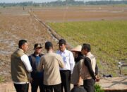 Hampir Separuh dari 44 Ribu Ton Beras Bantuan Nasional Dikirim ke Aceh