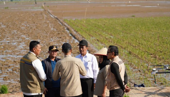 Hampir Separuh dari 44 Ribu Ton Beras Bantuan Nasional Dikirim ke Aceh