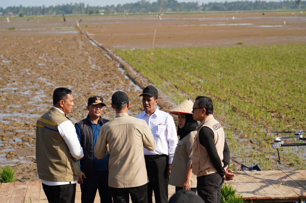 Hampir Separuh dari 44 Ribu Ton Beras Bantuan Nasional Dikirim ke Aceh